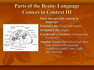 Parts of the Brain: Language
Centers in Context III
Parts that provide content to
language:
Parietal Lobe (Taste and touch)
Occipital Lobe (Sight)
Geschwind’s Territory (Intersensory
Connector
Angular Gyrus (Specialized part that
links sound with meaning;
coordinates touch, taste, sight,
and hearing)

 