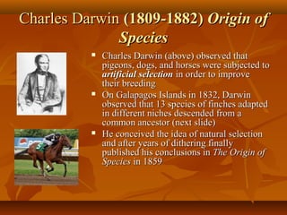Charles Darwin (1809-1882) Origin of
Species






Charles Darwin (above) observed that
pigeons, dogs, and horses were subjected to
artificial selection in order to improve
their breeding
On Galapagos Islands in 1832, Darwin
observed that 13 species of finches adapted
in different niches descended from a
common ancestor (next slide)
He conceived the idea of natural selection
and after years of dithering finally
published his conclusions in The Origin of
Species in 1859

 