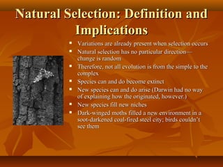 Natural Selection: Definition and
Implications











Variations are already present when selection occurs
Natural selection has no particular direction—
change is random
Therefore, not all evolution is from the simple to the
complex
Species can and do become extinct
New species can and do arise (Darwin had no way
of explaining how the originated, however.)
New species fill new niches
Dark-winged moths filled a new environment in a
soot-darkened coal-fired steel city; birds couldn’t
see them

 