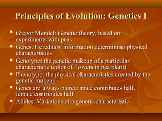 Principles of Evolution: Genetics I












Gregor Mendel: Genetic theory, based on
experiments with peas
Genes: Hereditary information determining physical
characteristics
Genotype: the genetic makeup of a particular
characteristic (color of flowers in pea plant)
Phenotype: the physical characteristics created by the
genetic makeup
Genes are always paired: male contributes half,
female contributes half
Alleles: Variations of a genetic characteristic

 