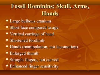 Fossil Hominins: Skull, Arms,
Hands









Large bulbous cranium
Short face compared to ape
Vertical carriage of head
Shortened forelimb
Hands (manipulation, not locomotion)
Enlarged thumb
Straight fingers, not curved
Enhanced finger sensitivity

 