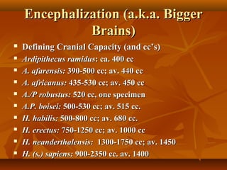Encephalization (a.k.a. Bigger
Brains)


Defining Cranial Capacity (and cc’s)



Ardipithecus ramidus: ca. 400 cc
A. afarensis: 390-500 cc; av. 440 cc
A. africanus: 435-530 cc; av. 450 cc
A./P robustus: 520 cc, one specimen
A.P. boisei: 500-530 cc; av. 515 cc.
H. habilis: 500-800 cc; av. 680 cc.
H. erectus: 750-1250 cc; av. 1000 cc
H. neanderthalensis: 1300-1750 cc; av. 1450
H. (s.) sapiens: 900-2350 cc. av. 1400










 