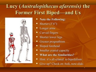 Lucy (Australopithecus afarensis) the
Former First Biped—and Us












Note the Following:
Shorter (3’6”)
Longer arms
Curved fingers
Shorter lower legs
Greater prognathism
Sloped forehead
Smaller cranial capacity
What are the Similarities?
Hint: it’s all related to bipedalism
Give up? Check on Ardi, next slide.

 
