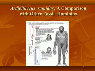 Ardipithecus ramidus: A Comparison
with Other Fossil Hominins

 