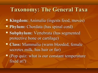 Taxonomy: The General Taxa








Kingdom: Animalia (ingests food, moves)
Phylum: Chordata (has spinal cord)
Subphylum: Vertebrata (has segmented
protective bone or cartilage)
Class: Mammalia (warm blooded, female
secretes milk, has hair or fur)
(Pop quiz: what is our constant temperature
fixed at?)

 