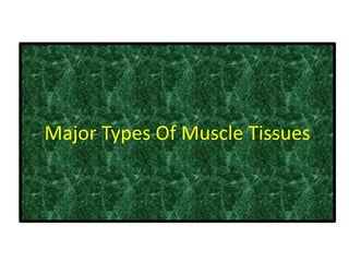 Major Types Of Muscle Tissues
 