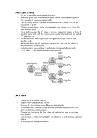 SPERMATOGENESIS 
• Occurs in seminiferous tubules of the testes 
• Immature sperm cells line the seminiferous tubules called spermatogenesis 
• They contain 46 chromosomes(diploid) 
• They divide by mitosis – provide a continuous source of new cells for the production of sperm 
• Primary spermatocyte- some spermatogenia are pushed away from the edge and they grow 
• These cells undergo the 1st stage of meiosis (reduction stage), to form 2 daughter cells with half the chromosome number (haploid) and are called 2nd spermatocyte 
• A further meiotic division produces two spermatids each –total of four daughter cells 
• Spermatids have no tail and move towards the centre of the tubule as they mature into spermatozoa 
• Maturing sperm are nourished by cells in the tubules called nurse cells 
• Takes about 72 days and continues through puberty 
OOGENESIS 
• Production of ova in the ovaries 
• Begins before and after baby is born 
• Oogonia develop in the ovaries. These are diploid cells 
• At birth the ovary contains several hundred thousand oogonia which have grown to become primary oocytes 
• Primary oocytes begin the first phase of meiosis but stop at prophase until puberty 
• Each primary oocyte is surrounded by a single layer of cells forming a primary follicle 
• At puberty follicles begin to mature  