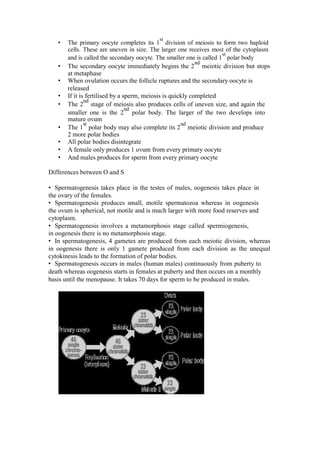 • The primary oocyte completes its 1st division of meiosis to form two haploid cells. These are uneven in size. The larger one receives most of the cytoplasm and is called the secondary oocyte. The smaller one is called 1st polar body 
• The secondary oocyte immediately begins the 2nd meiotic division but stops at metaphase 
• When ovulation occurs the follicle ruptures and the secondary oocyte is released 
• If it is fertilised by a sperm, meiosis is quickly completed 
• The 2nd stage of meiosis also produces cells of uneven size, and again the smaller one is the 2nd polar body. The larger of the two develops into mature ovum 
• The 1st polar body may also complete its 2nd meiotic division and produce 2 more polar bodies 
• All polar bodies disintegrate 
• A female only produces 1 ovum from every primary oocyte 
• And males produces for sperm from every primary oocyte 
Differences between O and S 
• Spermatogenesis takes place in the testes of males, oogenesis takes place in the ovary of the females. 
• Spermatogenesis produces small, motile spermatozoa whereas in oogenesis the ovum is spherical, not motile and is much larger with more food reserves and cytoplasm. 
• Spermatogenesis involves a metamorphosis stage called spermiogenesis, in oogenesis there is no metamorphosis stage. 
• In spermatogenesis, 4 gametes are produced from each meiotic division, whereas in oogenesis there is only 1 gamete produced from each division as the unequal cytokinesis leads to the formation of polar bodies. 
• Spermatogenesis occurs in males (human males) continuously from puberty to death whereas oogenesis starts in females at puberty and then occurs on a monthly basis until the menopause. It takes 70 days for sperm to be produced in males.  