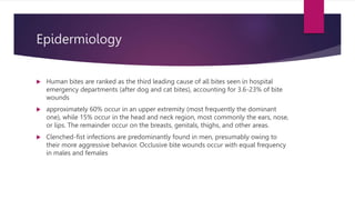 Epidermiology
 Human bites are ranked as the third leading cause of all bites seen in hospital
emergency departments (after dog and cat bites), accounting for 3.6-23% of bite
wounds
 approximately 60% occur in an upper extremity (most frequently the dominant
one), while 15% occur in the head and neck region, most commonly the ears, nose,
or lips. The remainder occur on the breasts, genitals, thighs, and other areas.
 Clenched-fist infections are predominantly found in men, presumably owing to
their more aggressive behavior. Occlusive bite wounds occur with equal frequency
in males and females
 