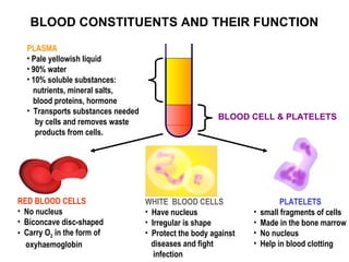 BLOOD CONSTITUENTS AND THEIR FUNCTION
PLASMA
• Pale yellowish liquid
• 90% water
• 10% soluble substances:
nutrients, mineral salts,
blood proteins, hormone
• Transports substances needed
by cells and removes waste
products from cells.

RED BLOOD CELLS
• No nucleus
• Biconcave disc-shaped
• Carry O2 in the form of
oxyhaemoglobin

BLOOD CELL & PLATELETS

WHITE BLOOD CELLS
• Have nucleus
• Irregular is shape
• Protect the body against
diseases and fight
infection

•
•
•
•

PLATELETS
small fragments of cells
Made in the bone marrow
No nucleus
Help in blood clotting

 