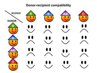 Donor-recipient compatibility
RECIPIENT

DONOR

A

B
A

AB
O

A

B

AB

O

 