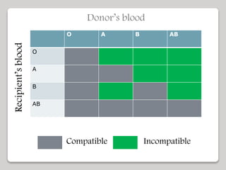O A B AB
O
A
B
AB
Donor’s bloodRecipient’sblood
Compatible Incompatible
 