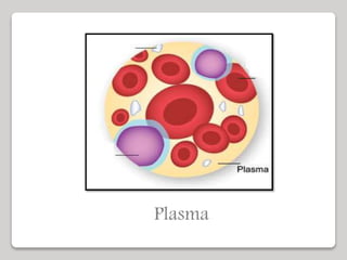 Plasma
 