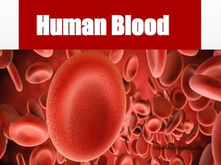 Human Blood
Shenikha Abdul Gafoor
 