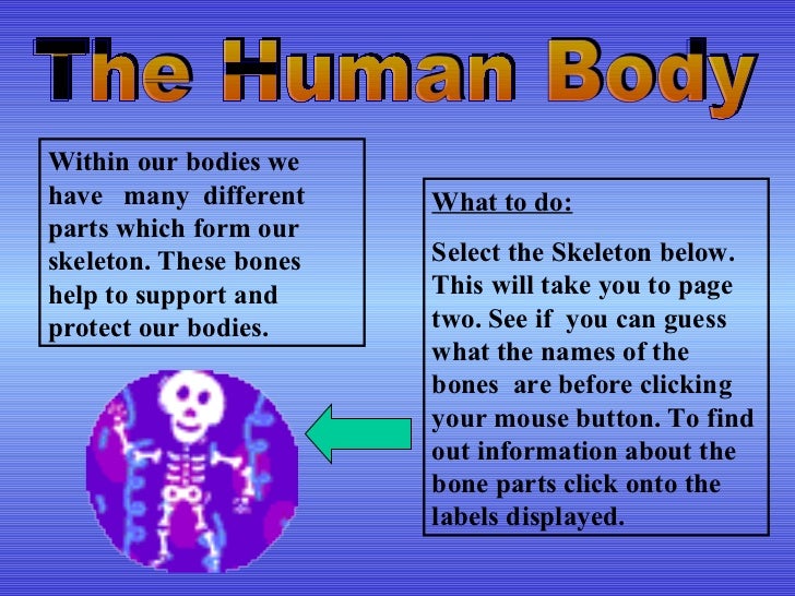 an analysis of the different parts of the human body Human body template – 24+ free word, pdf, ppt documents download download human body parts & names template download. an analysis of the different parts of the human body Human body template – 24+ free word, pdf, ppt documents download download human body parts & names template download.