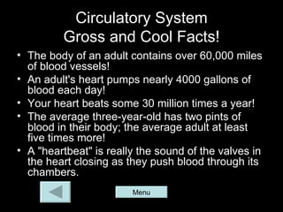 Circulatory System
         Gross and Cool Facts!
• The body of an adult contains over 60,000 miles
  of blood vessels!
• An adult's heart pumps nearly 4000 gallons of
  blood each day!
• Your heart beats some 30 million times a year!
• The average three-year-old has two pints of
  blood in their body; the average adult at least
  five times more!
• A "heartbeat" is really the sound of the valves in
  the heart closing as they push blood through its
  chambers.
                        Menu
 