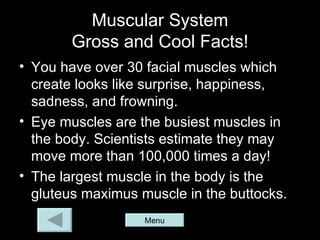 Muscular System
        Gross and Cool Facts!
• You have over 30 facial muscles which
  create looks like surprise, happiness,
  sadness, and frowning.
• Eye muscles are the busiest muscles in
  the body. Scientists estimate they may
  move more than 100,000 times a day!
• The largest muscle in the body is the
  gluteus maximus muscle in the buttocks.
                   Menu
 
