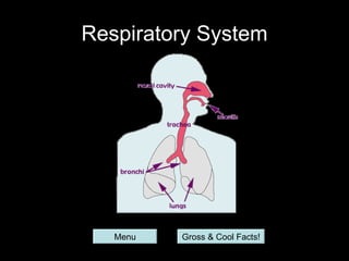 Respiratory System




   Menu   Gross & Cool Facts!
 