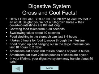 Digestive System
           Gross and Cool Facts!
• HOW LONG ARE YOUR INTESTINES? At least 25 feet in
  an adult. Be glad you're not a full-grown horse -- their
  coiled-up intestines are 89 feet long!
• Chewing food takes from 5-30 seconds
• Swallowing takes about 10 seconds
• Food sloshing in the stomach can last 3-4 hours
• It takes 3 hours for food to move through the intestine
• Food drying up and hanging out in the large intestine can
  last 18 hours to 2 days!
• Americans eat about 700 million pounds of peanut butter.
• Americans eat over 2 billion pounds of chocolate a year.
• In your lifetime, your digestive system may handle about 50
  tons!!
                            Menu
 