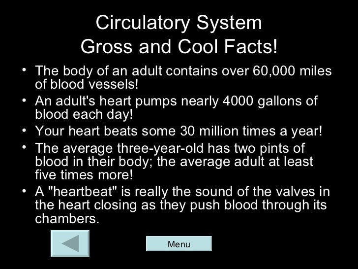 download human body systems facts | ohnonotstereo download human body systems facts | ohnonotstereo, Muscles