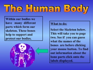 Within our bodies we
have many different     What to do:
parts which form our
skeleton. These bones   Select the Skeleton below.
help to support and     This will take you to page
protect our bodies.     two. See if you can guess
                        what the names of the
                        bones are before clicking
                        your mouse button. To find
                        out information about the
                        bone parts click onto the
                        labels displayed.
 