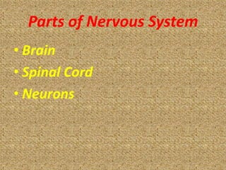 Parts of Nervous System
• Brain
• Spinal Cord
• Neurons
 