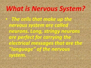 What is Nervous System?
• The cells that make up the
 nervous system are called
 neurons. Long, stringy neurons
 are perfect for carrying the
 electrical messages that are the
 "language" of the nervous
 system.
 