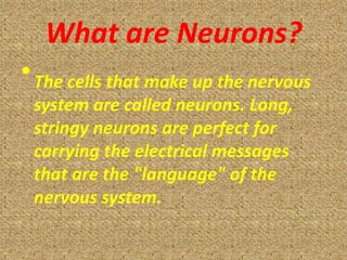 What are Neurons?
• The cells that make up the nervous
 system are called neurons. Long,
 stringy neurons are perfect for
 carrying the electrical messages
 that are the "language" of the
 nervous system.
 