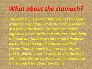 What about the stomach?
• The stomach is a sack that receives the food
  from the esophagus. Your stomach is located
  just below the heart. The stomach makes
  digestive juices (acids and enzymes) that help
  to break our food down into a thick liquid or
  paste. This thick liquid or paste is called
  chyme. Your stomach is a muscular organ
  that is able to move in order to mix the food
  with digestive juices. Food usually remains in
  the stomach for about two hours.
 