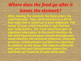 Where does the food go after it
      leaves the stomach?
• After leaving the stomach the food enters the
  small intestine. Your small intestine is a 20-25
  foot tube that is coiled up in your abdomen. The
  center of your small intestine is right behind
  your belly button. The most important part of
  digestion takes place in the small intestine. As
  the thick liquid food paste travels through your
  small intestine the nutrients (vitamins, minerals,
  proteins, carbohydrates and fats) are absorbed
  by millions of tiny finger-like objects called villi
  and sent into your bloodstream where the
  nutrients can travel to all your body cells.
 