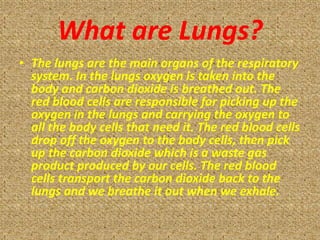 What are Lungs?
• The lungs are the main organs of the respiratory
  system. In the lungs oxygen is taken into the
  body and carbon dioxide is breathed out. The
  red blood cells are responsible for picking up the
  oxygen in the lungs and carrying the oxygen to
  all the body cells that need it. The red blood cells
  drop off the oxygen to the body cells, then pick
  up the carbon dioxide which is a waste gas
  product produced by our cells. The red blood
  cells transport the carbon dioxide back to the
  lungs and we breathe it out when we exhale.
 