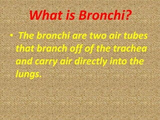 What is Bronchi?
• The bronchi are two air tubes
 that branch off of the trachea
 and carry air directly into the
 lungs.
 