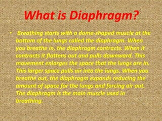 What is Diaphragm?
• Breathing starts with a dome-shaped muscle at the
  bottom of the lungs called the diaphragm. When
  you breathe in, the diaphragm contracts. When it
  contracts it flattens out and pulls downward. This
  movement enlarges the space that the lungs are in.
  This larger space pulls air into the lungs. When you
  breathe out, the diaphragm expands reducing the
  amount of space for the lungs and forcing air out.
  The diaphragm is the main muscle used in
  breathing.
 