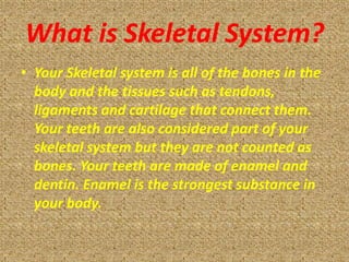 What is Skeletal System?
• Your Skeletal system is all of the bones in the
  body and the tissues such as tendons,
  ligaments and cartilage that connect them.
  Your teeth are also considered part of your
  skeletal system but they are not counted as
  bones. Your teeth are made of enamel and
  dentin. Enamel is the strongest substance in
  your body.
 