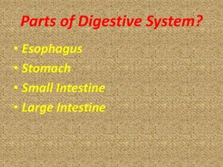 Parts of Digestive System?
• Esophagus
• Stomach
• Small Intestine
• Large Intestine
 