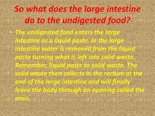 So what does the large intestine
   do to the undigested food?
• The undigested food enters the large
  intestine as a liquid paste. In the large
  intestine water is removed from the liquid
  paste turning what is left into solid waste.
  Remember, liquid paste to solid waste. The
  solid waste then collects in the rectum at the
  end of the large intestine and will finally
  leave the body through an opening called the
  anus.
 