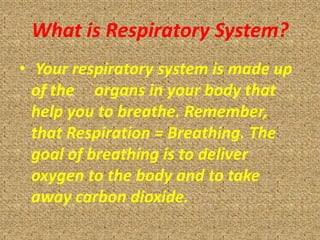 What is Respiratory System?
• Your respiratory system is made up
  of the organs in your body that
  help you to breathe. Remember,
  that Respiration = Breathing. The
  goal of breathing is to deliver
  oxygen to the body and to take
  away carbon dioxide.
 