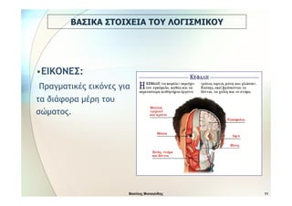 Εγκυκλοπαίδεια του Ανθρώπινου Σώματος