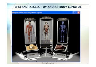 Εγκυκλοπαίδεια του Ανθρώπινου Σώματος