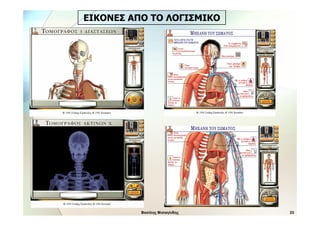 Εγκυκλοπαίδεια του Ανθρώπινου Σώματος