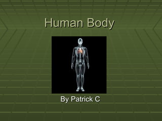 Human Body




  By Patrick C
 