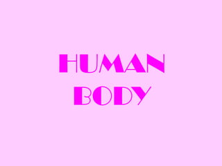 HUMAN
 BODY
 