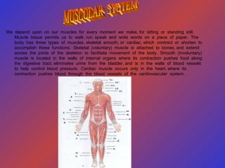 We depend upon on our muscles for every moment we make, for sitting or standing still.
Muscle tissue permits us to walk, run, speak and write words on a piece of paper. The
body has three types of muscles, skeletal, smooth, or cardiac, which contract or shorten to
accomplish these functions. Skeletal (voluntary) muscle is attached to bones, and extend
across the joints of the skeleton to facilitate movement of the body. Smooth (involuntary)
muscle is located in the walls of internal organs where its contraction pushes food along
the digestive tract, eliminates urine from the bladder, and is in the walls of blood vessels
to help control blood pressure. Cardiac muscle occurs only in the heart, where its
contraction pushes blood through the blood vessels of the cardiovascular system.
 