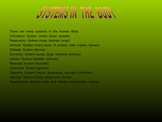 There are many systems in the Human Body
Circulatory System (heart, blood, vessels)
Respiratory System (nose, trachea, lungs)
Immune System (many types of protein, cells, organs, tissues)
Skeletal System (Bones)
Excretory System (lungs, large intestine, kidneys)
Urinary System (bladder, kidneys)
Muscular System (muscles)
Endocrine System (glands)
Digestive System (mouth, esophagus, stomach, intestines)
Nervous System (brain, spinal cord, nerves)
Reproductive System (male and female reproductive organs)
 