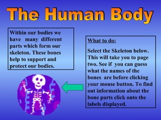 Within our bodies we
have many different
parts which form our
skeleton. These bones
help to support and
protect our bodies.
What to do:
Select the Skeleton below.
This will take you to page
two. See if you can guess
what the names of the
bones are before clicking
your mouse button. To find
out information about the
bone parts click onto the
labels displayed.
 