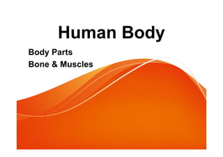 Human Body
Body Parts
Bone & Muscles
 