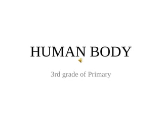 HUMAN BODY
3rd grade of Primary
 