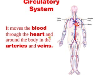 It moves the blood
through the heart and
around the body in the
arteries and veins.
Circulatory
System
 