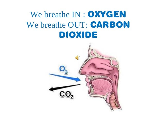 Why do people breathe out carbon dioxide?