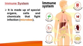  It is made up of special
organs, cells and
chemicals that fight
infection (microbes).
 